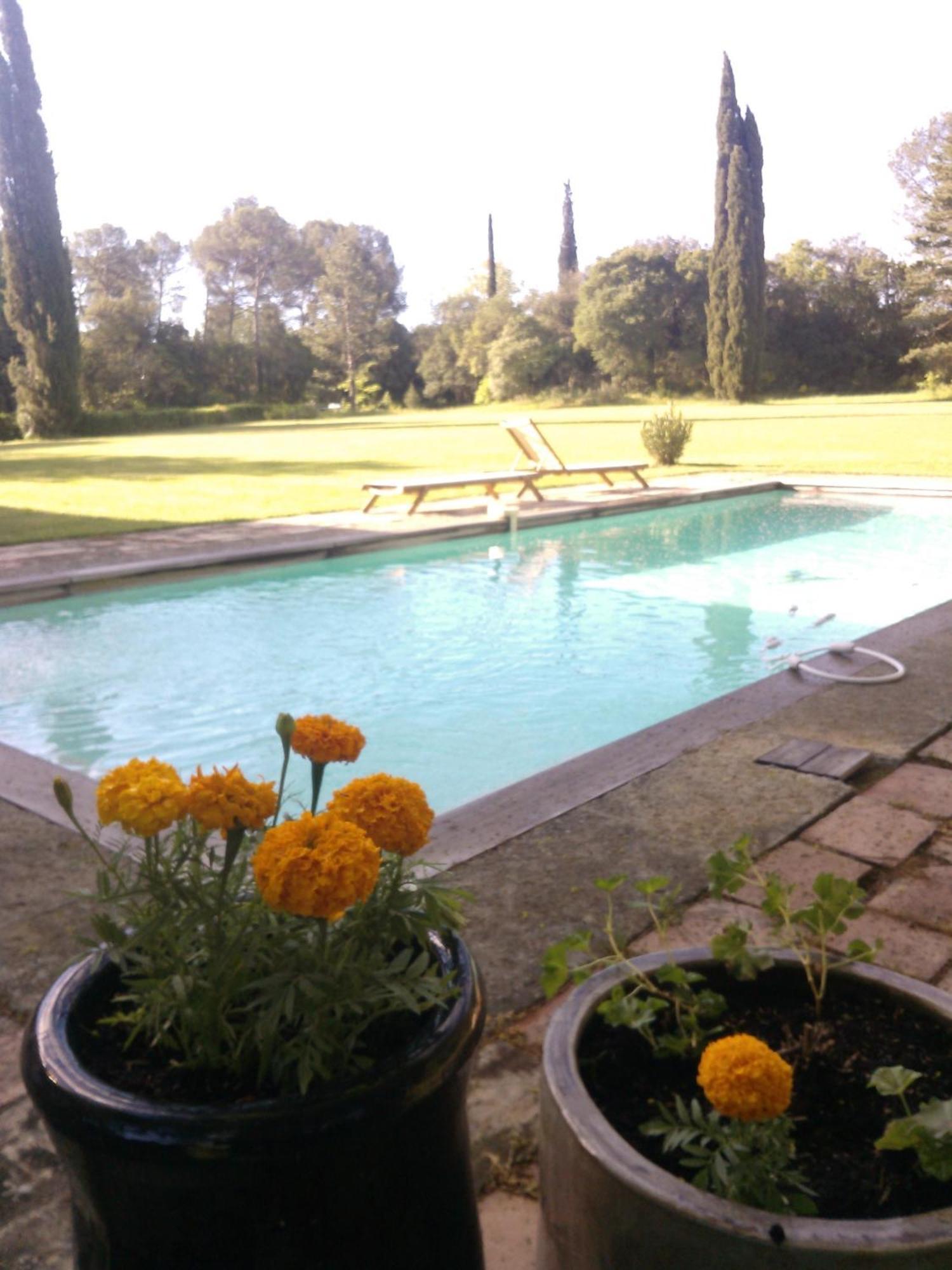 Domaine De Saint Clement Bed and Breakfast Prades-le-Lez Eksteriør billede